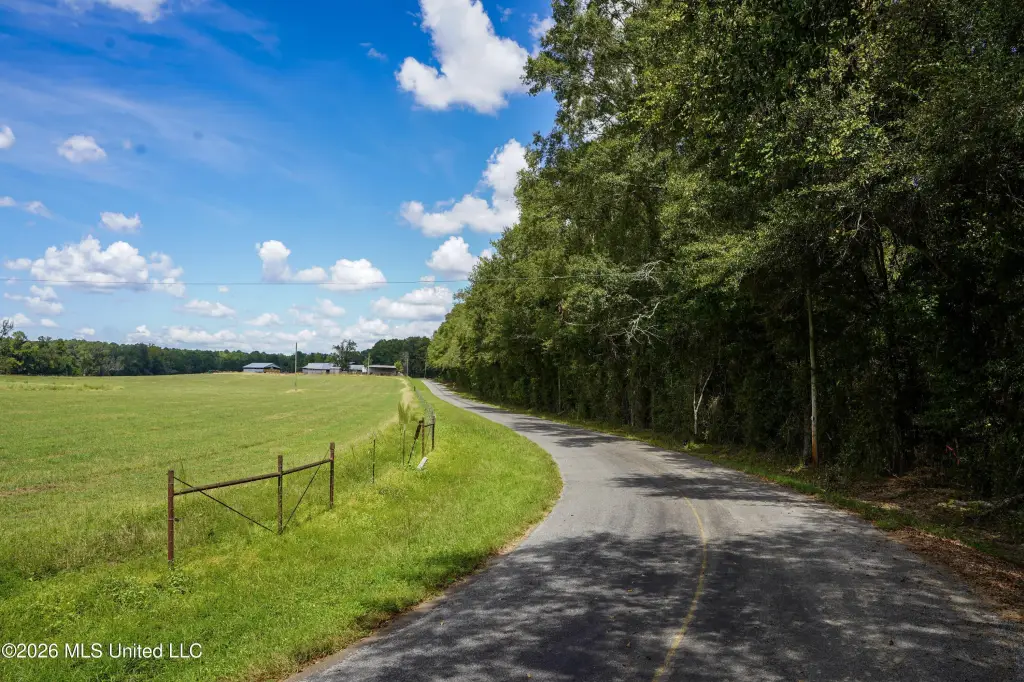 Picture 89