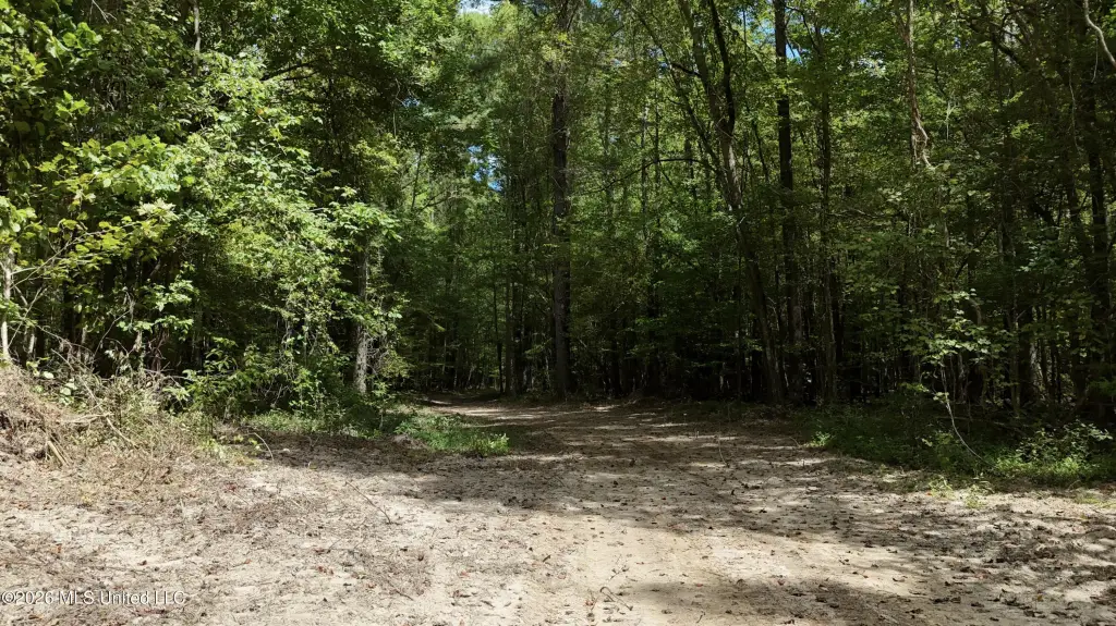 Picture 31