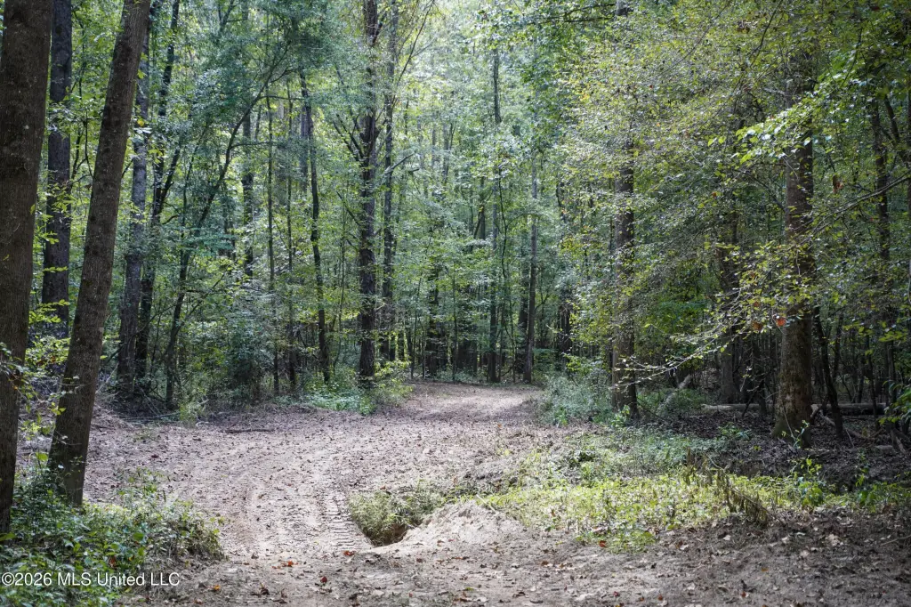 Picture 22