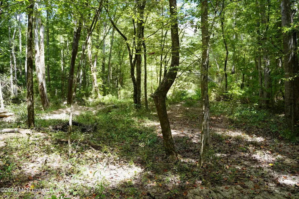 Picture 45