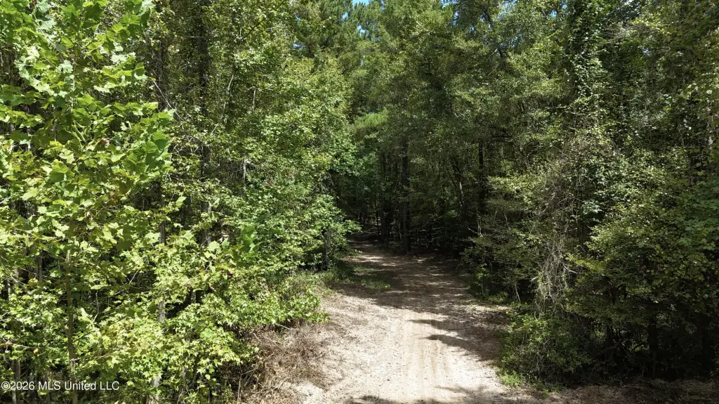 Picture 29