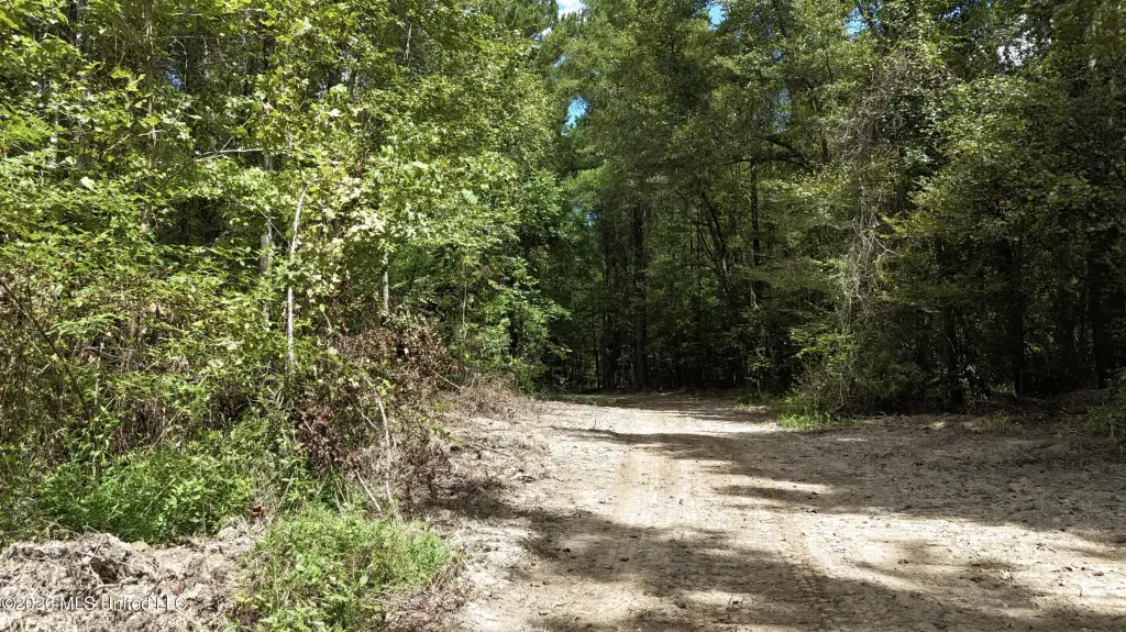 Picture 30