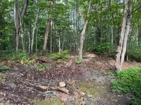Wooded Lot Near South Perch