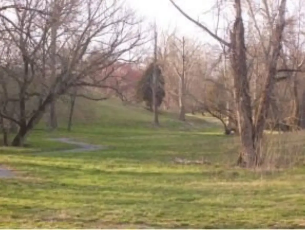 Picture 16