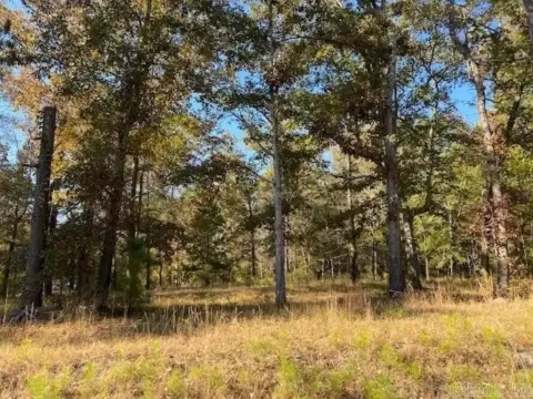 El Dorado Commercial Land Available