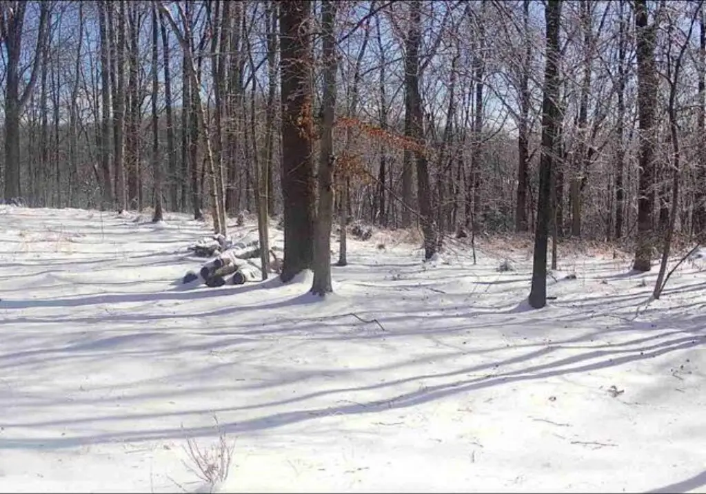 Picture 3