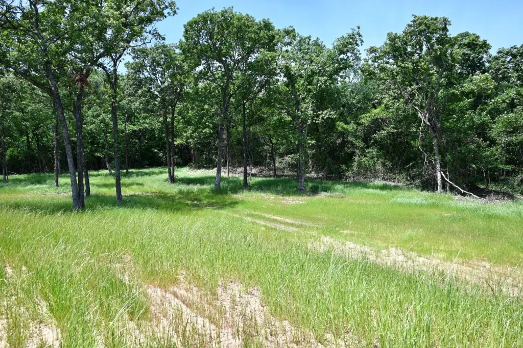 Picture 11