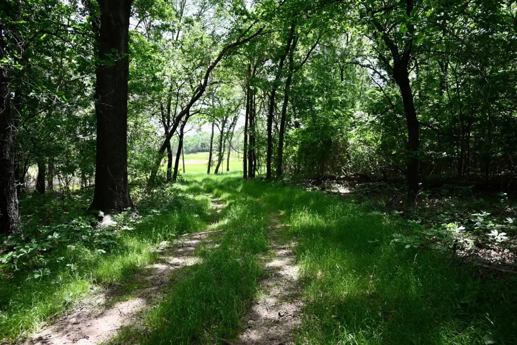 Picture 7