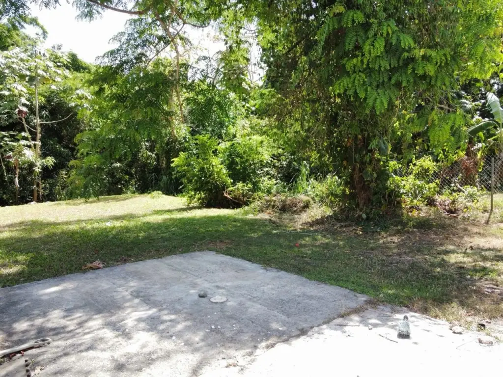 Picture 23
