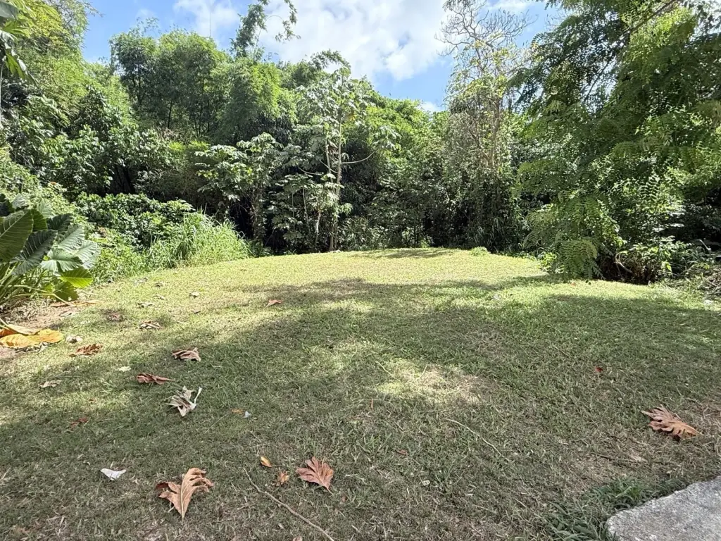 Picture 22