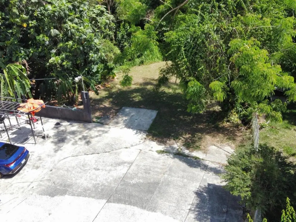 Picture 9