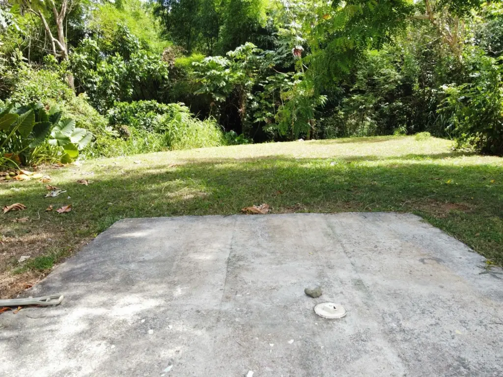 Picture 24