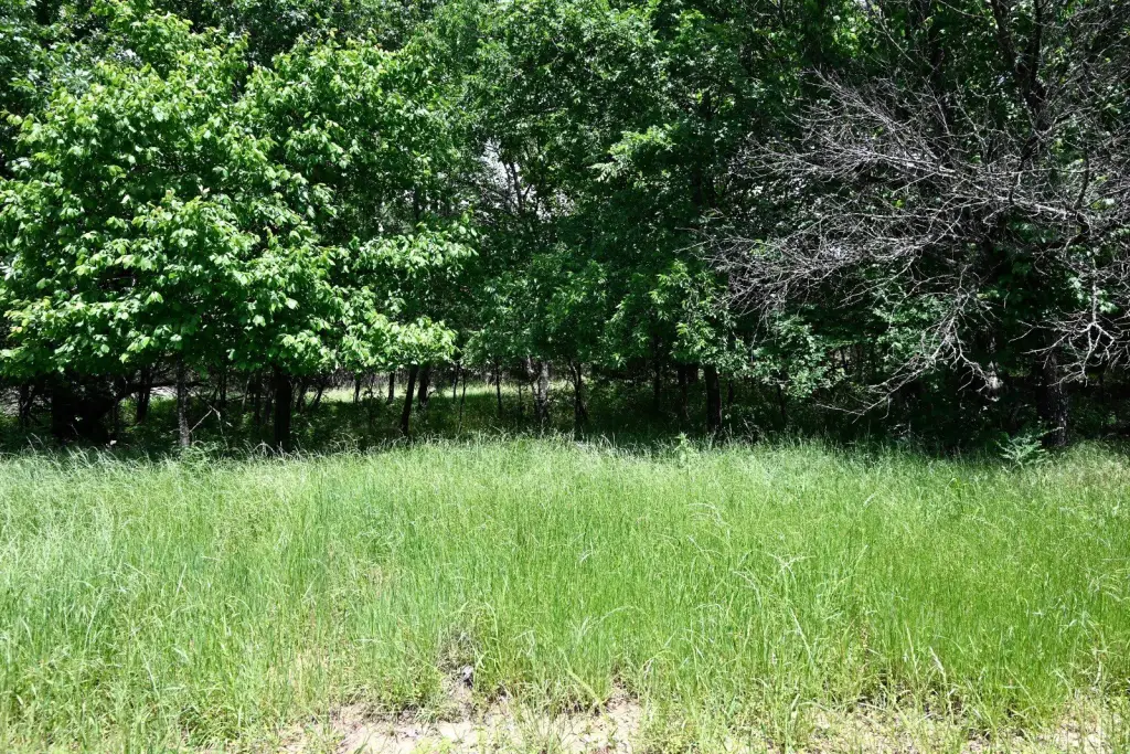 Picture 24