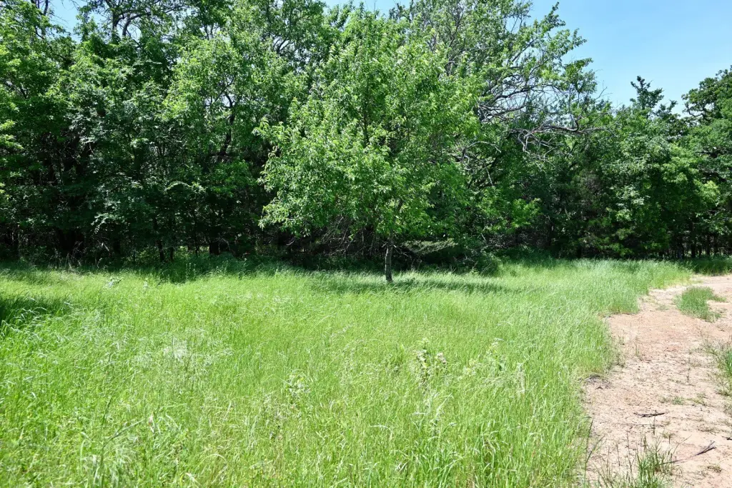 Picture 15