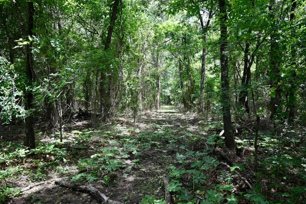 Picture 8