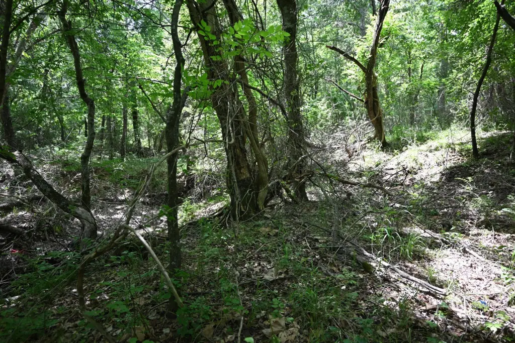 Picture 26