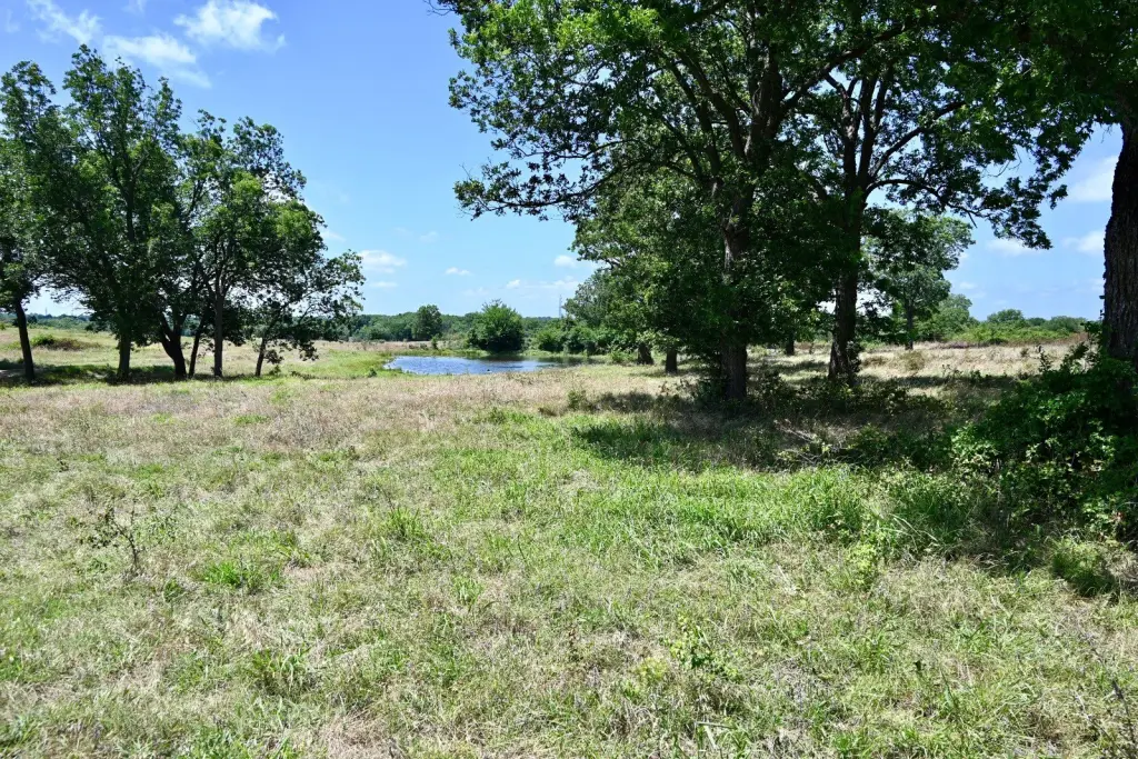 Picture 37