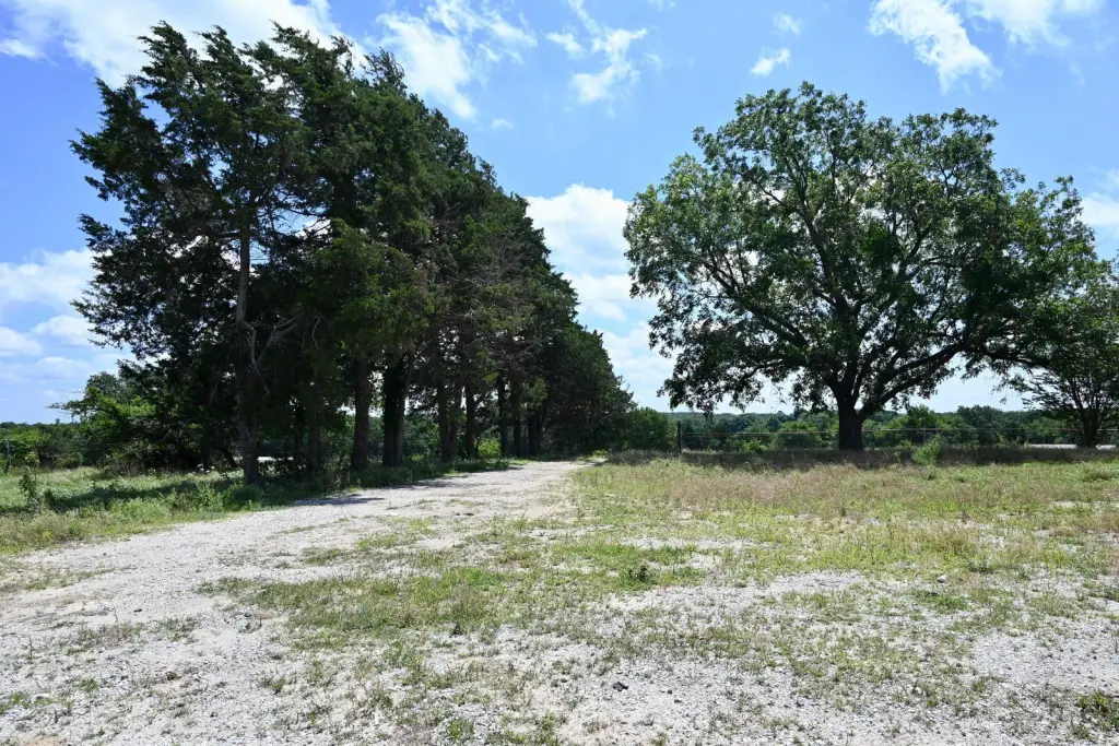 Picture 5