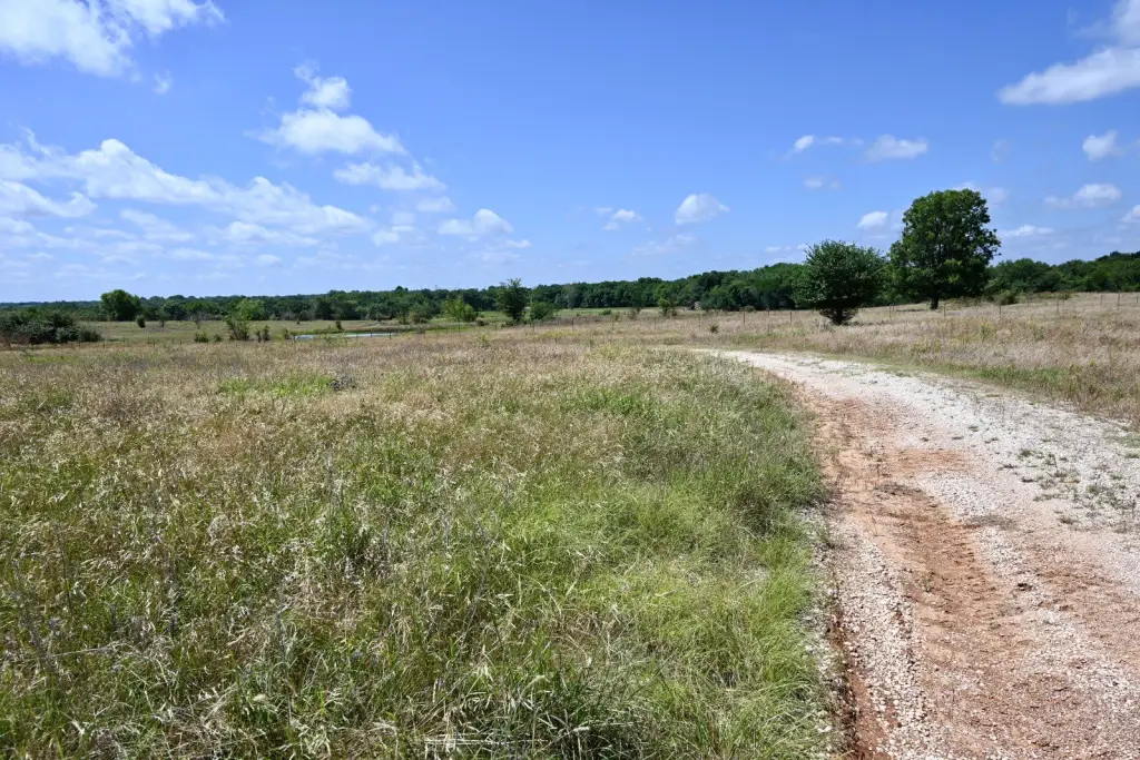 Picture 9