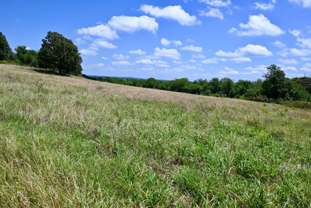 Picture 36