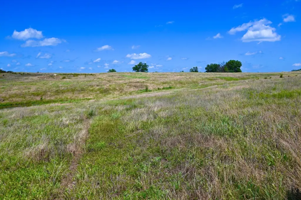 Picture 35