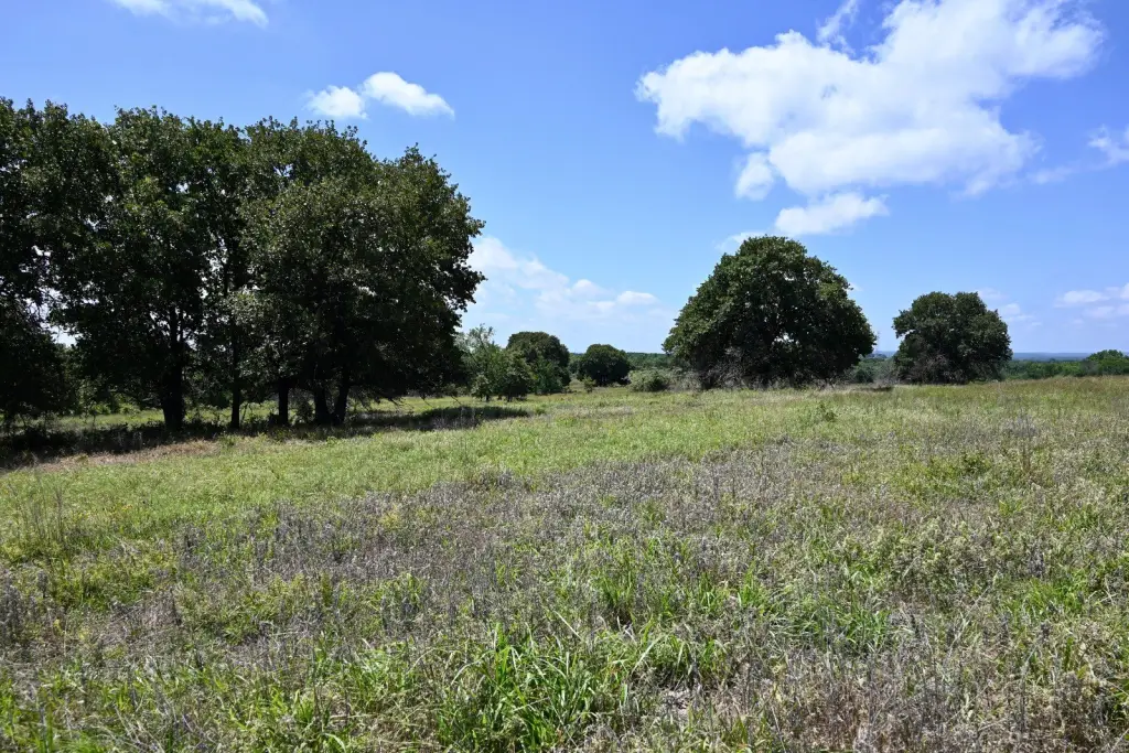Picture 29
