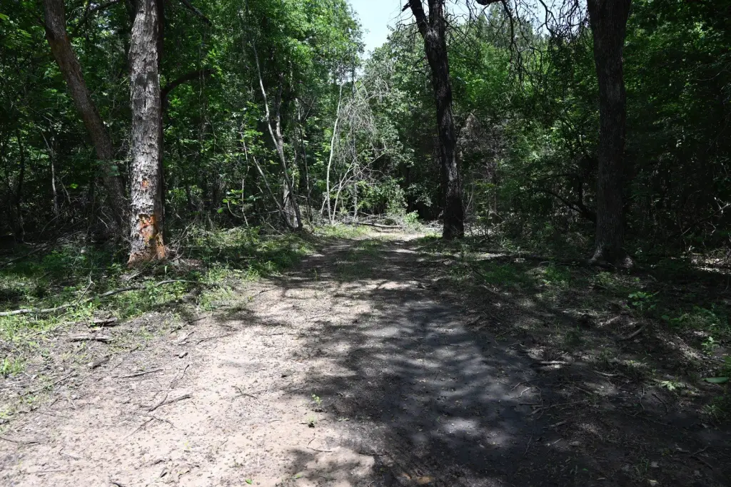 Picture 2