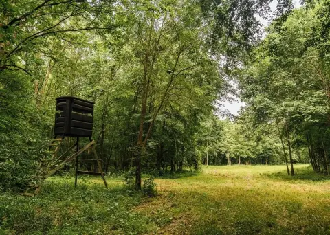 Recreational Land Near Oxford, MS