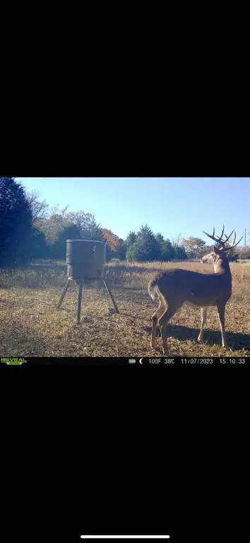 Picture 5