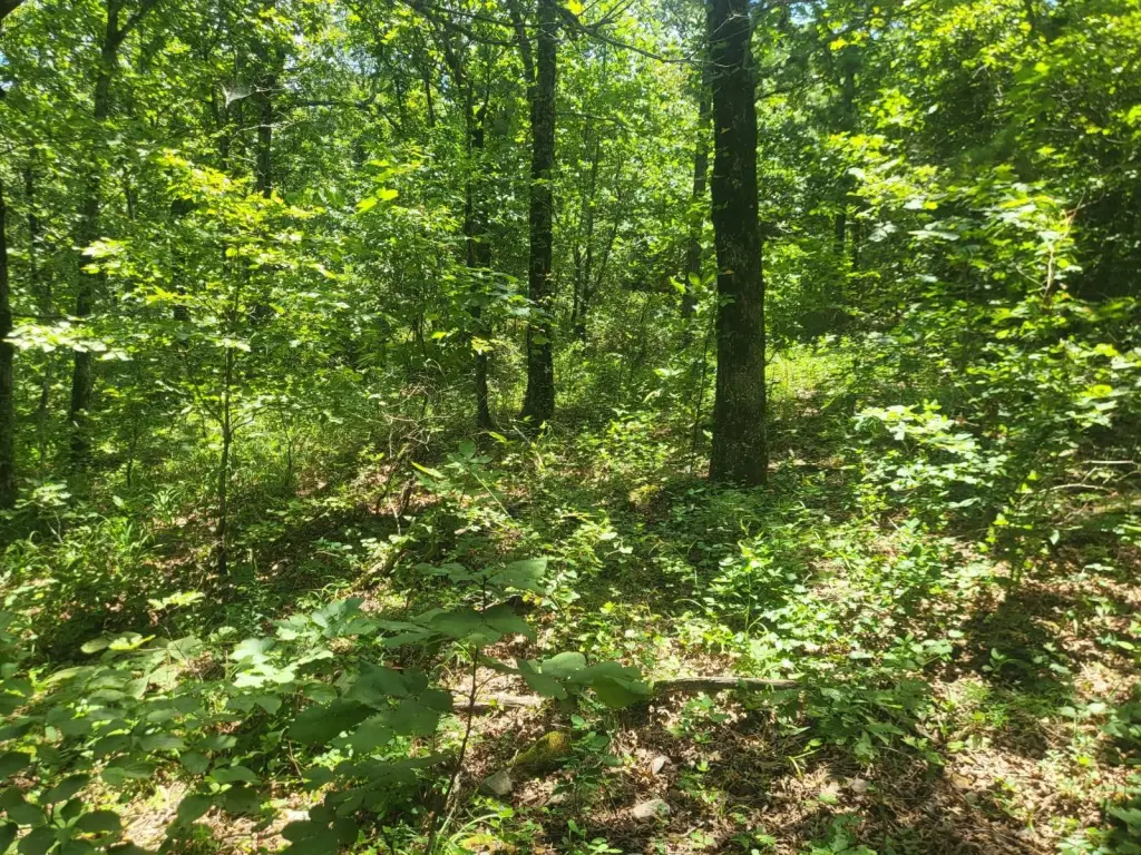Picture 22