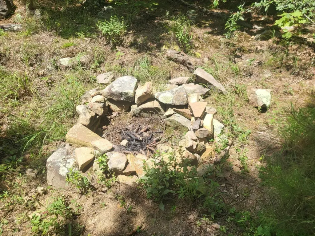 Picture 24