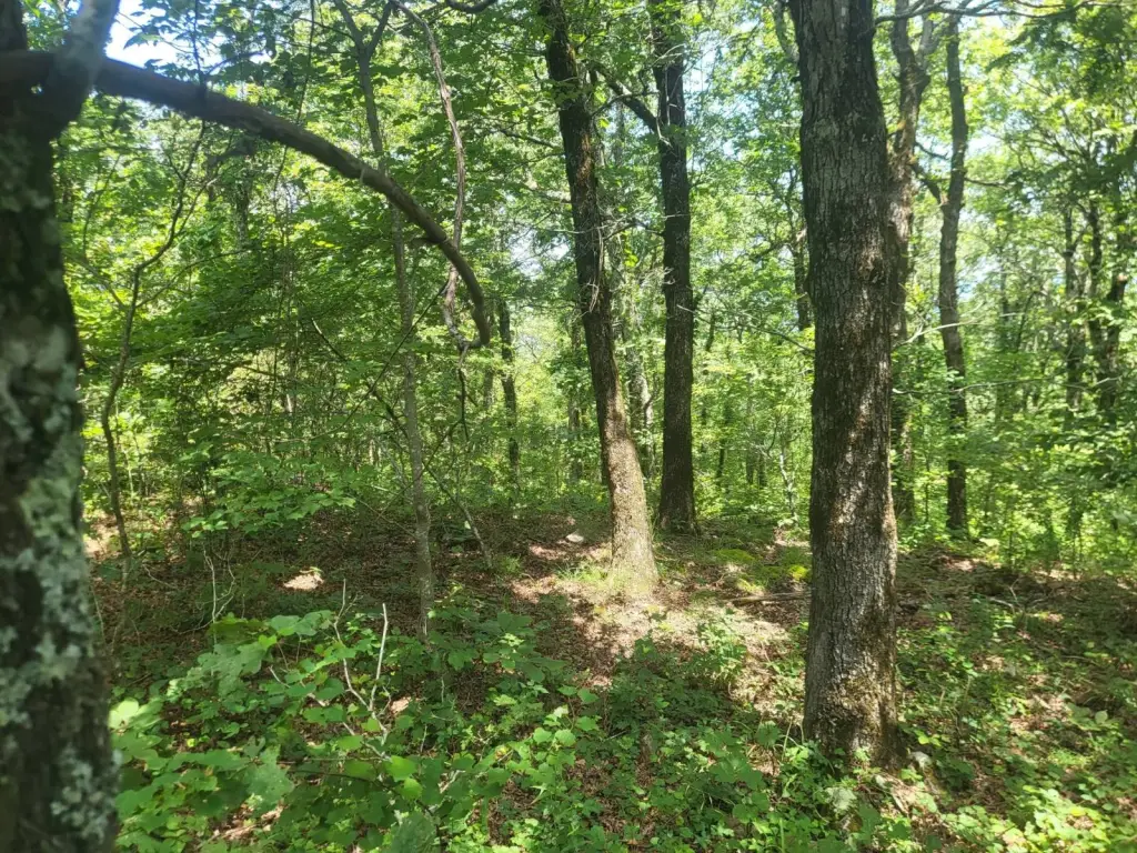 Picture 17