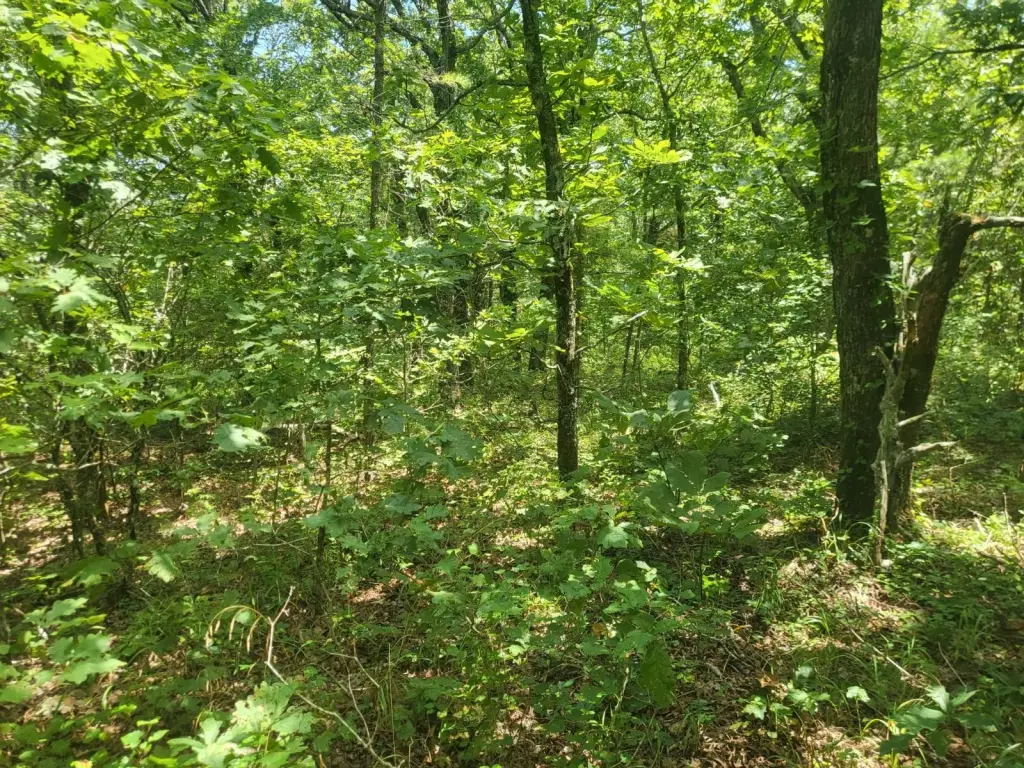 Picture 10