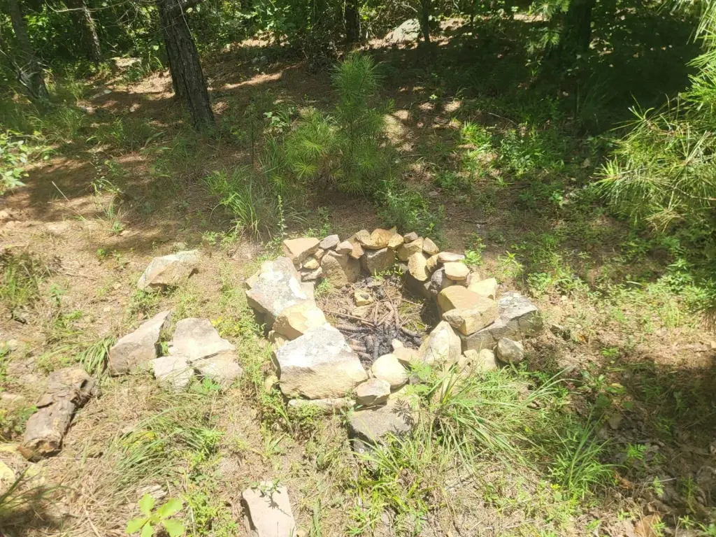Picture 6