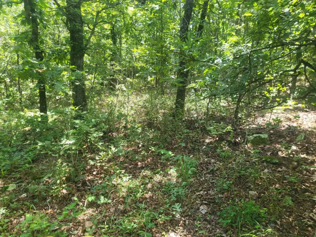 Picture 15