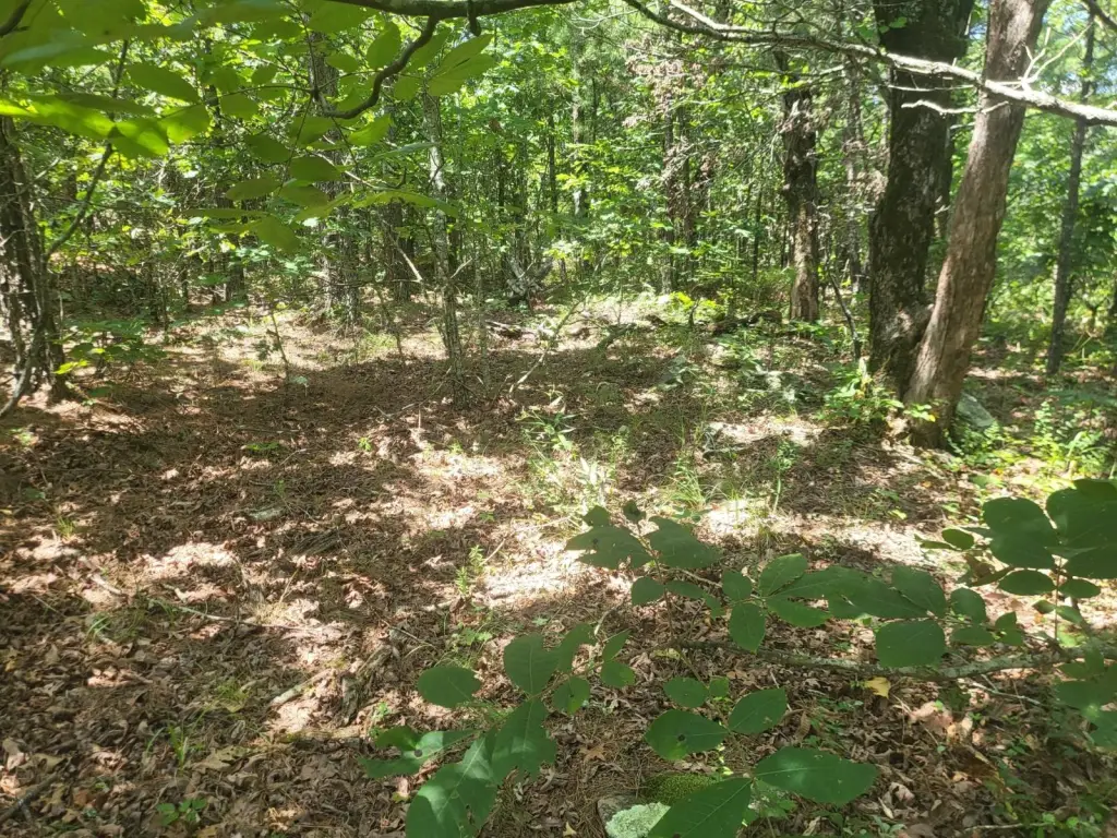 Picture 25