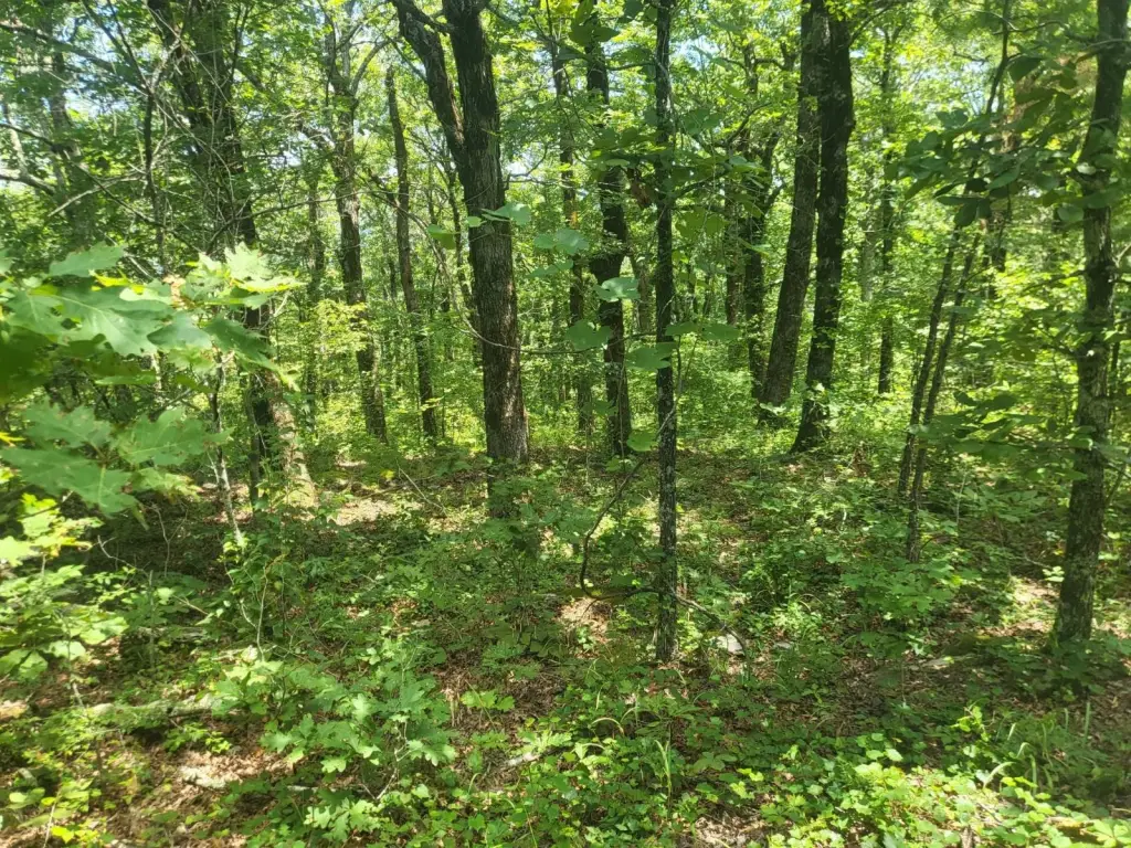Picture 16
