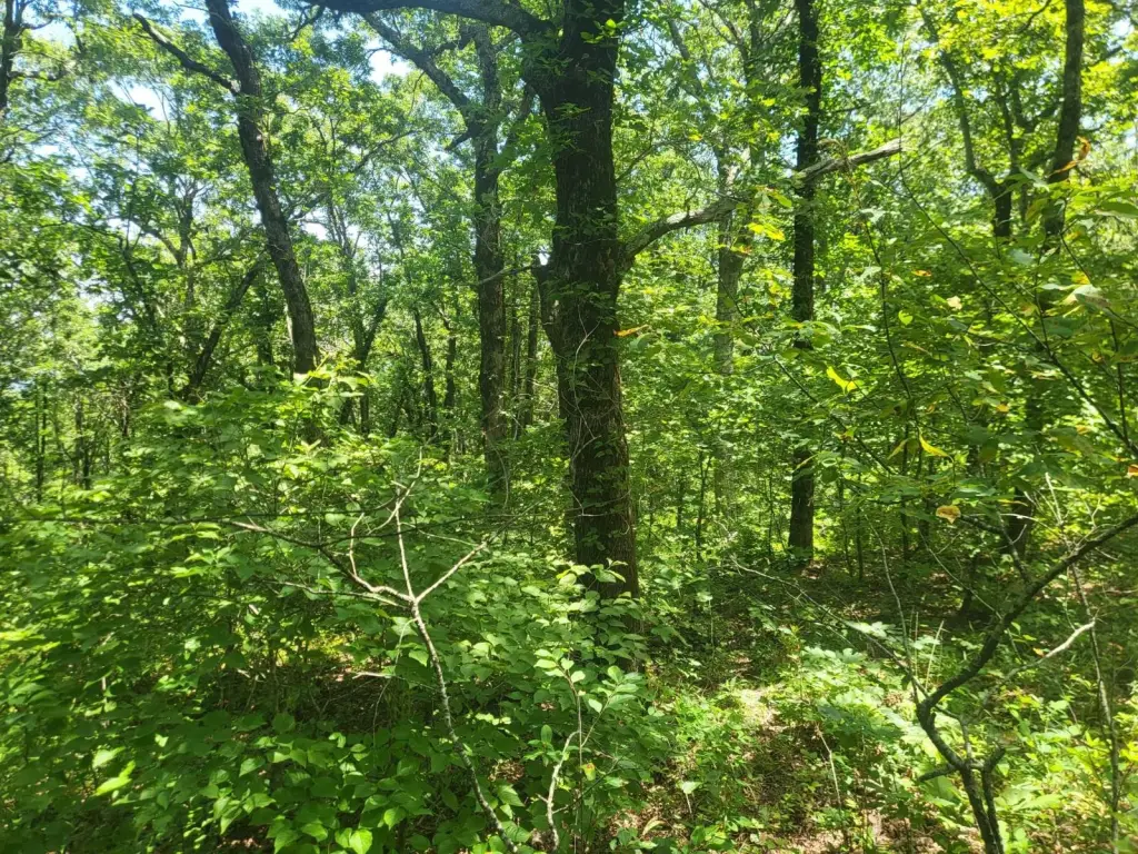 Picture 23