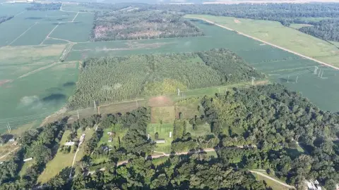 48 Acres Ideal Homesite/Hunting