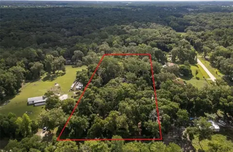 Prime Land in Ocala Horse Country