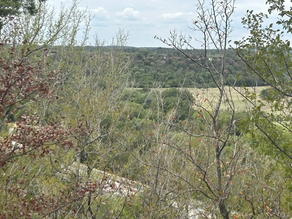 Picture 12