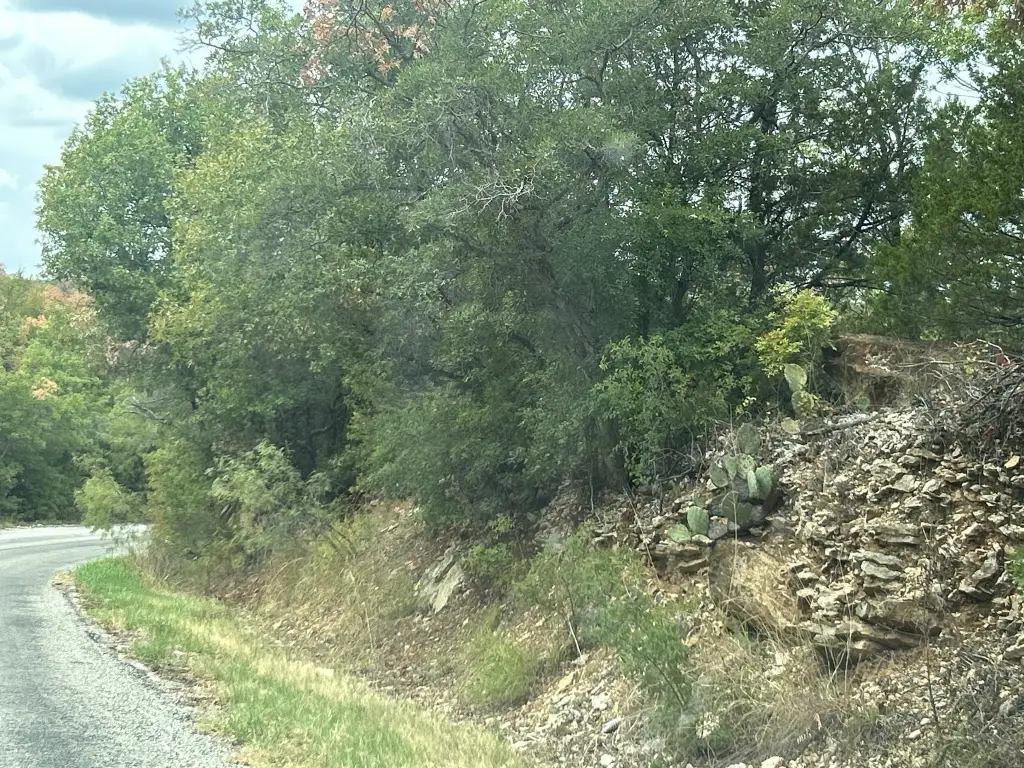 Picture 10