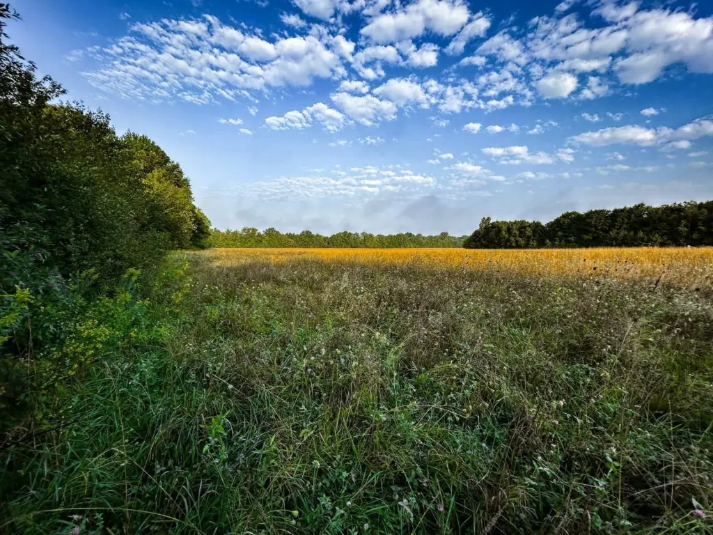 Picture 16