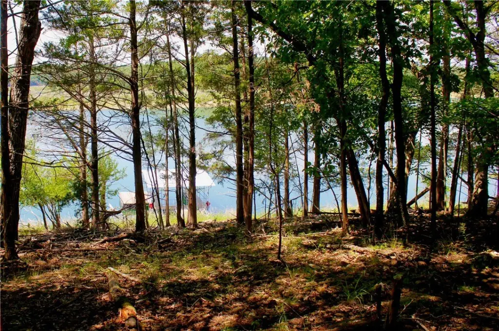Picture 8
