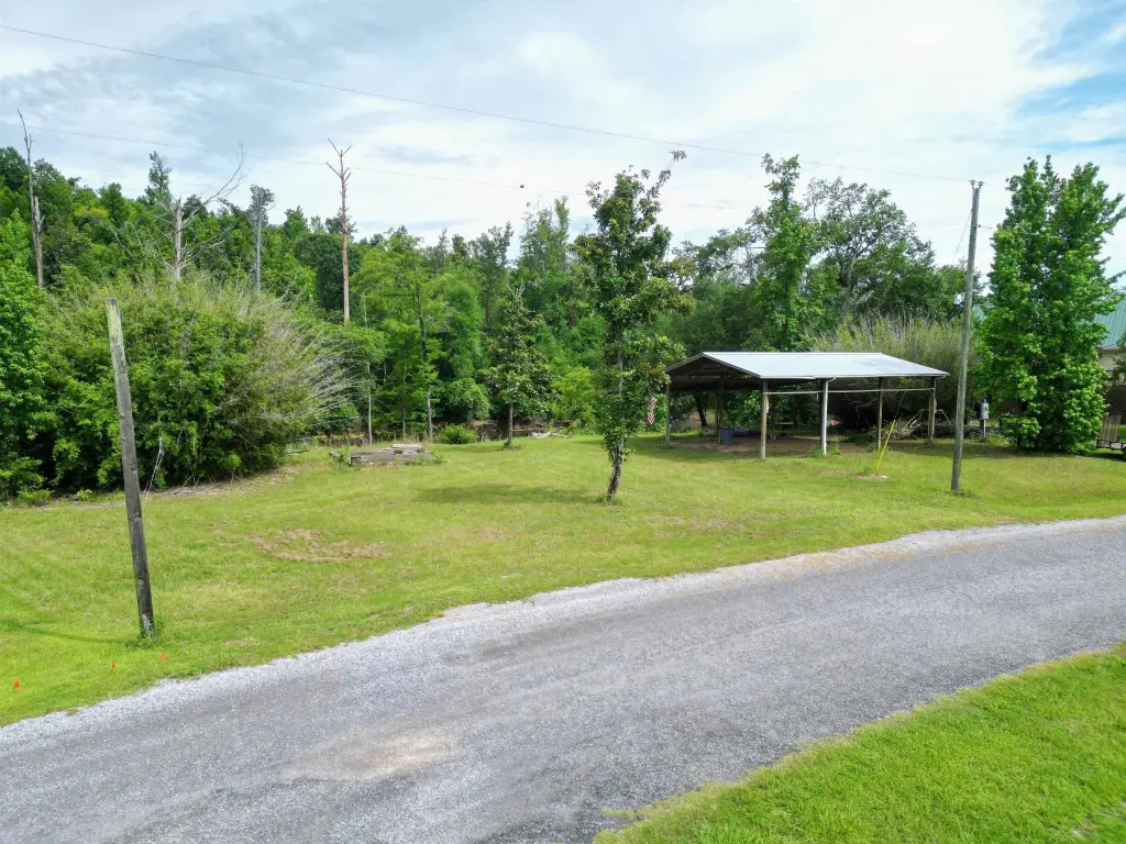 Picture 6