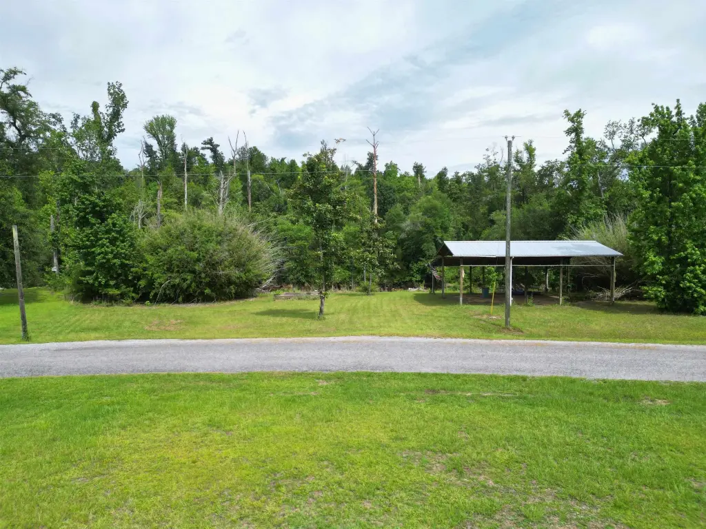 Picture 5