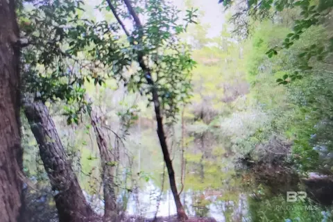 Riverfront Land with Development Potential