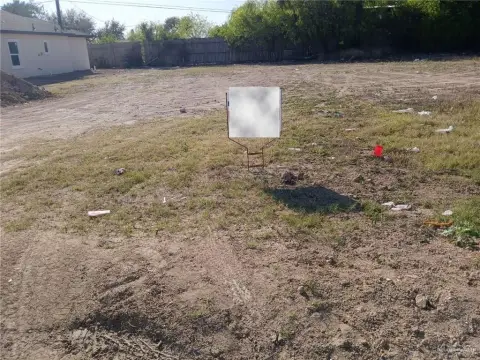 Residential Lot in Alamo, TX