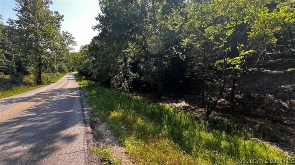 Picture 6