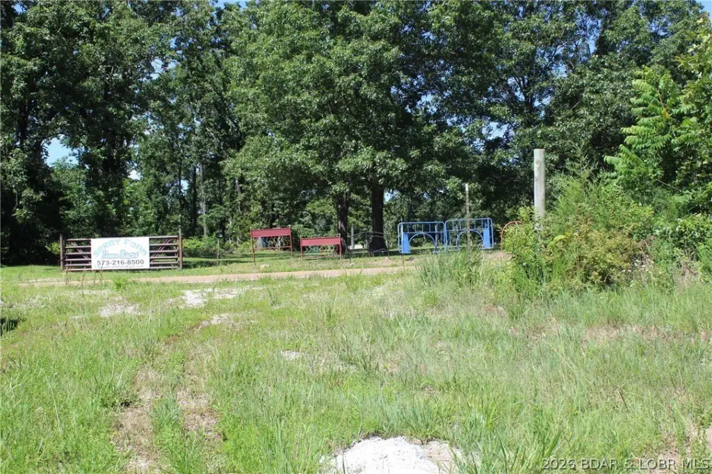 Picture 6